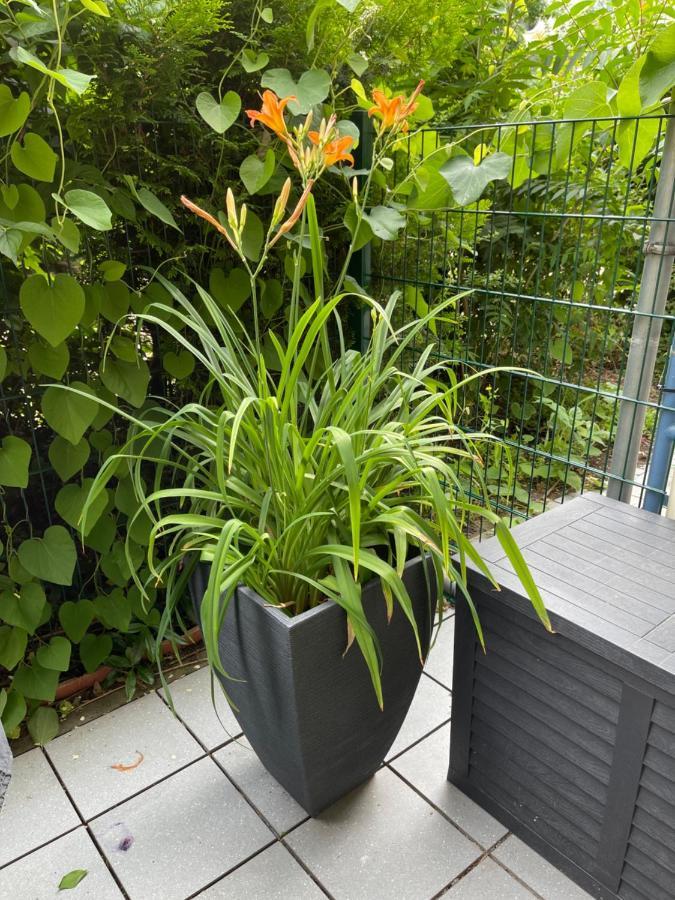 Sonnige Wohnung Im Zentrum Mit Terrasse U Tiefgarage - Netflix & Prime Lipsk Zewnętrze zdjęcie